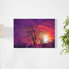 Bajo el atardecer - Cuadro decorativo para sala o jardín