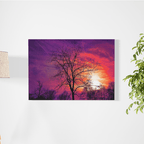 Bajo el atardecer - Cuadro decorativo para sala o jardín