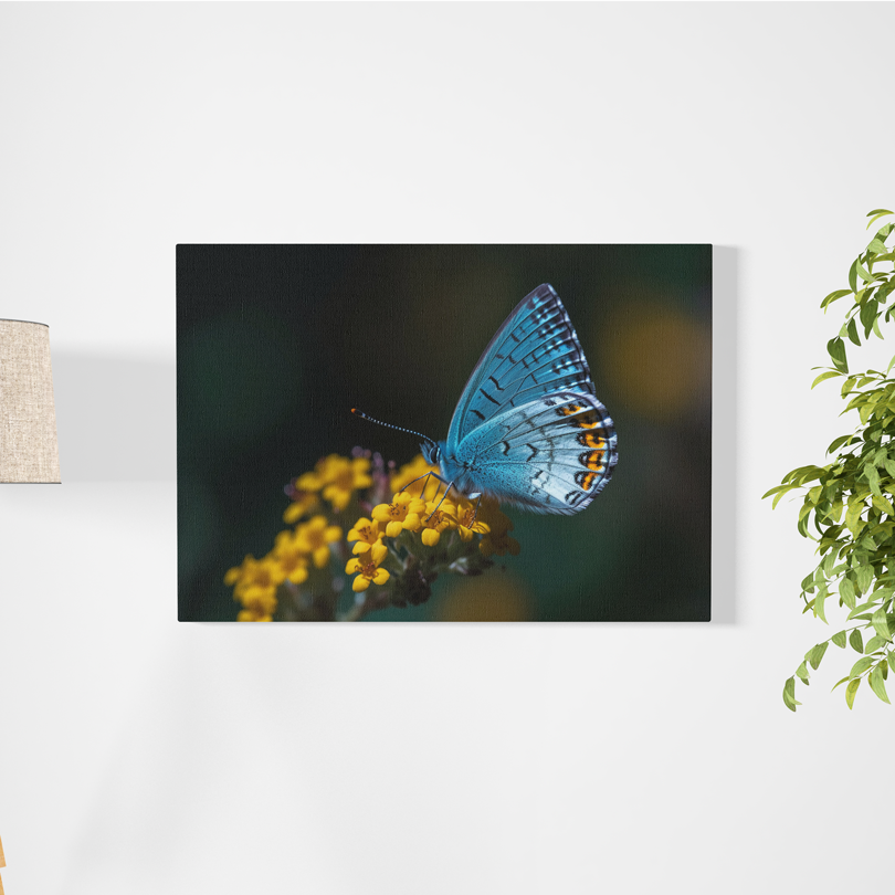 Cuadro Canvas Flores y Mariposa - "Butterfly"