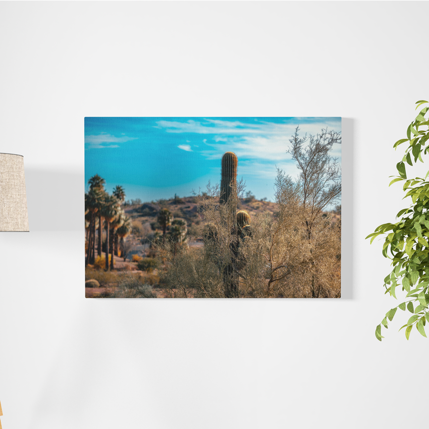 Desierto - Cuadro Canvas - innpresiona