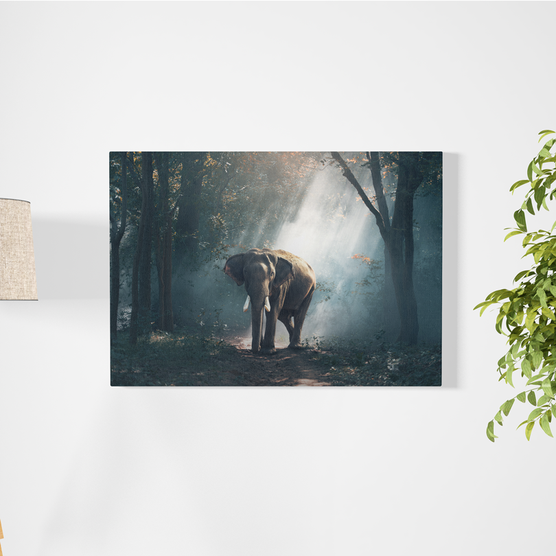 Elefante en la selva - innpresiona