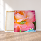 Rana Rose - Cuadro decorativo - innpresiona