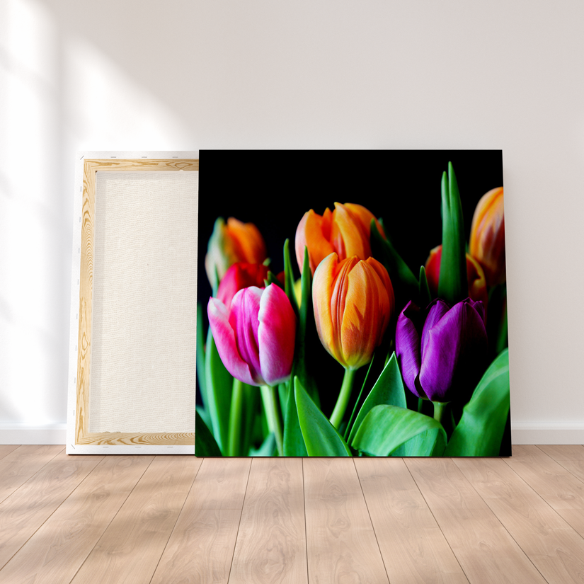 Tulipanes en la oscuridad - innpresiona